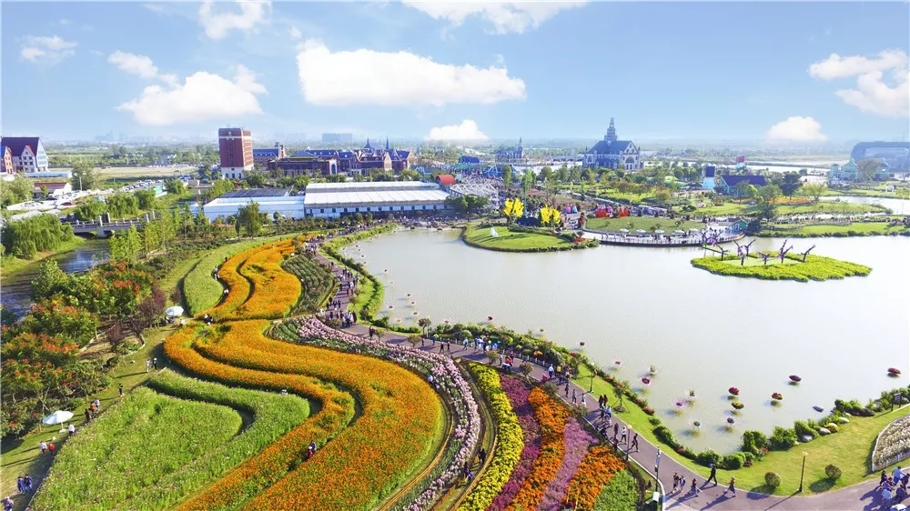 大丰荷兰花海、冬枣采摘、阜宁金沙湖特惠一日游