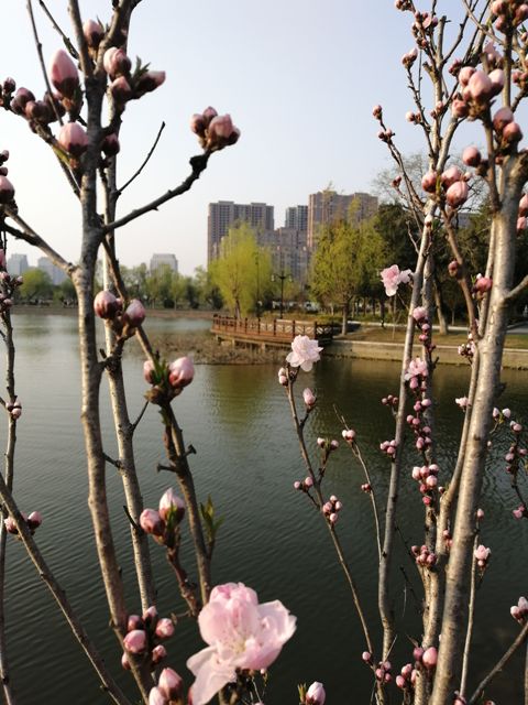 摄影：春之韵（谢东海）