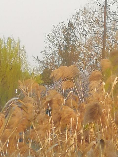 摄影：春之韵（谢东海）