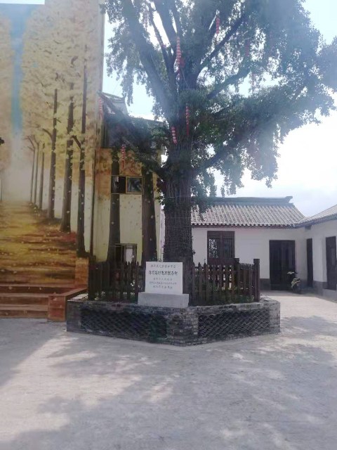 摄影：蒋坝风光（周志龙）