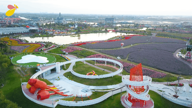 大丰荷兰花海、冬枣采摘、阜宁金沙湖特惠一日游