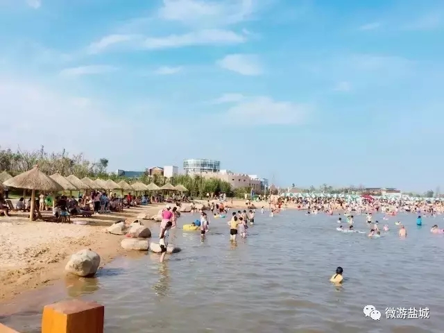 大丰荷兰花海、冬枣采摘、阜宁金沙湖特惠一日游