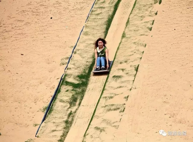 大丰荷兰花海、冬枣采摘、阜宁金沙湖特惠一日游