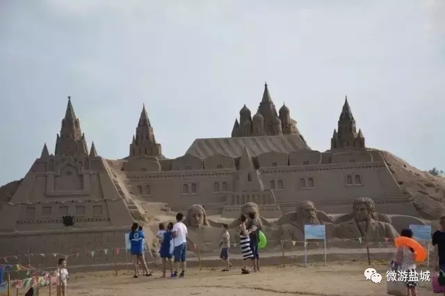 大丰荷兰花海、冬枣采摘、阜宁金沙湖特惠一日游