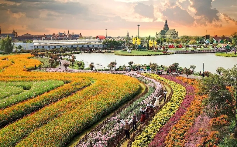 大丰荷兰花海、冬枣采摘、阜宁金沙湖特惠一日游