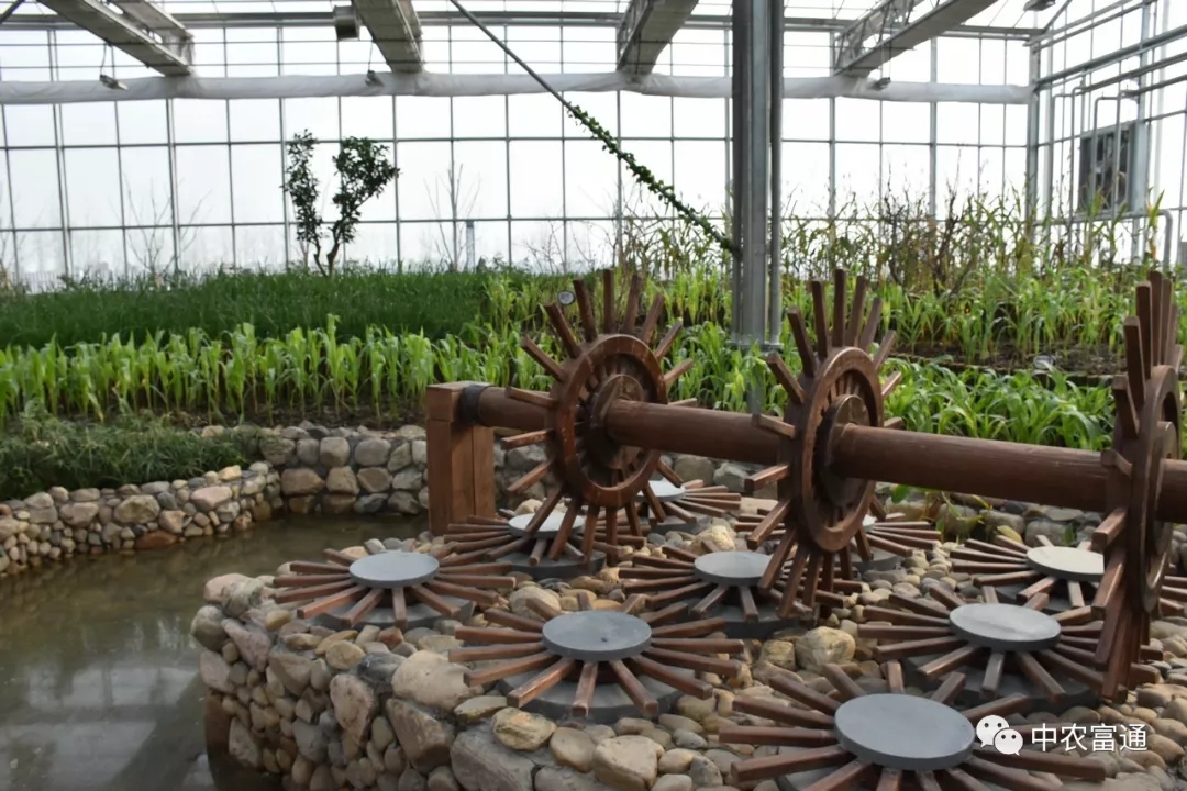 白马湖马戏嘉年华、蝶恋花主题馆 +金湖水漾年华一日游