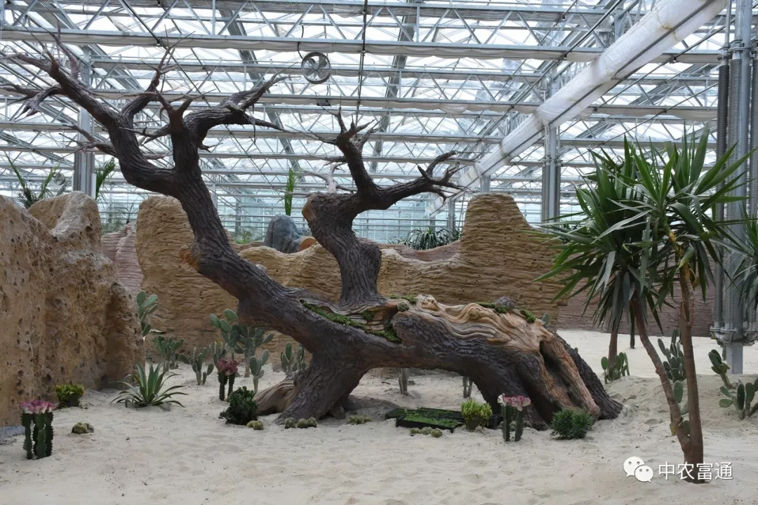 白马湖马戏嘉年华、蝶恋花主题馆 +金湖水漾年华一日游