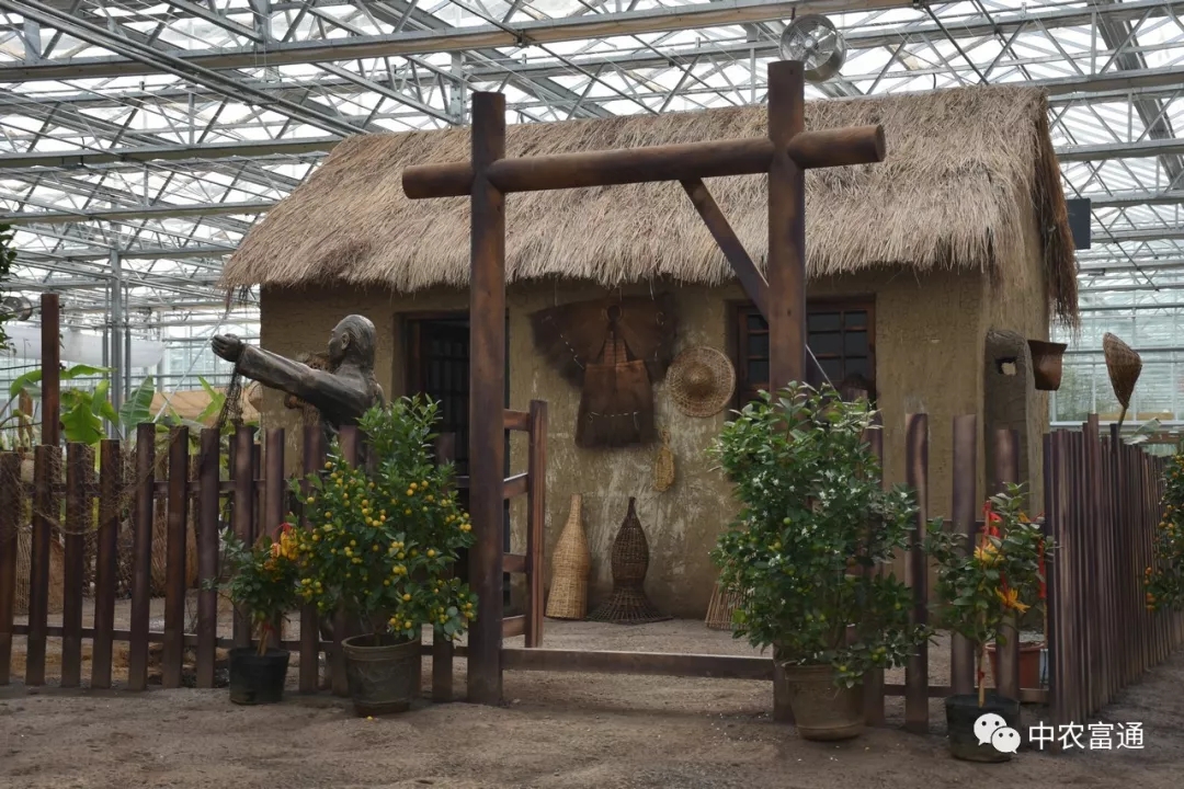 白马湖马戏嘉年华、蝶恋花主题馆 +金湖水漾年华一日游