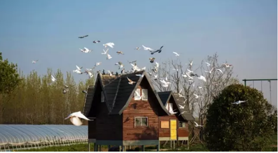 &ldquo;情暖职工、回馈社会&rdquo;工会会员内购活动又来啦！