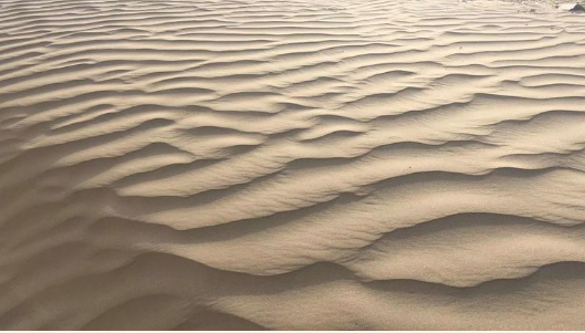 万里征途------淮汽旅游助力复工返岗 万里征途------淮汽旅游助力复工返岗