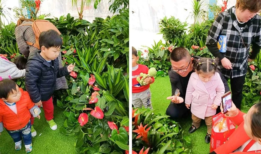 白马湖马戏嘉年华、蝶恋花主题馆 +金湖水漾年华一日游