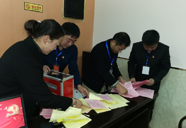 公司召开第二次党员代表大会