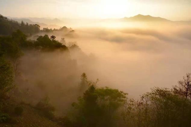 摄影：皖南晨雾（张彪）