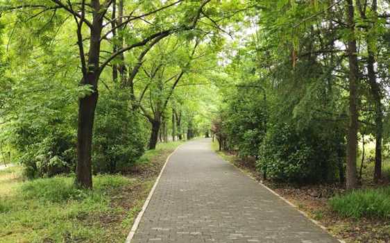 摄影：大美淮安（周志龙）