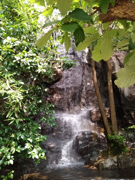 摄影：隔篁竹闻水声（其姝）