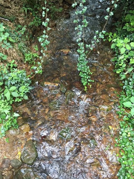 摄影：隔篁竹闻水声（其姝）