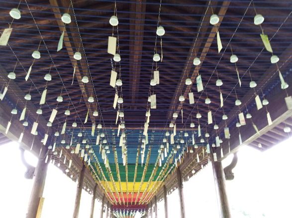 摄影：隔篁竹闻水声（其姝）