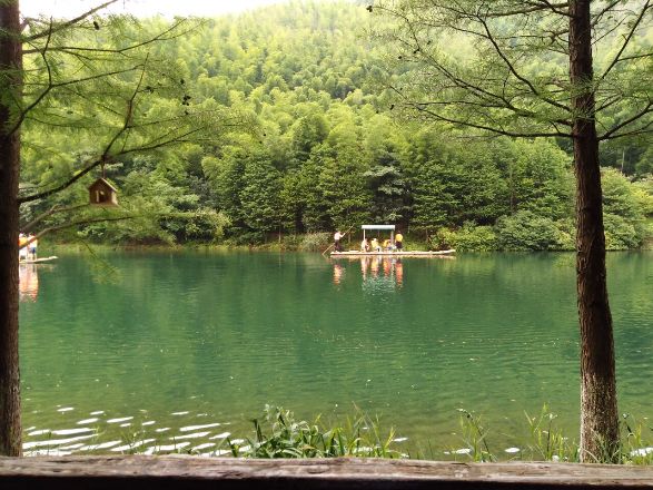 摄影：隔篁竹闻水声（其姝）