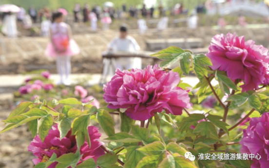 旅游直通车钜惠延期至5月31日