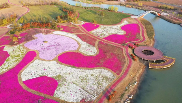 旅游直通车钜惠延期至5月31日