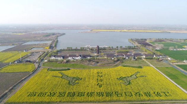 旅游直通车钜惠延期至5月31日