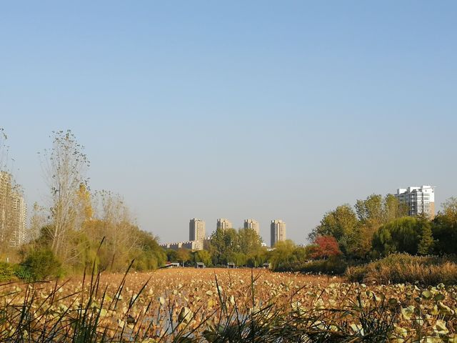 摄影：钵池山秋韵（谢东海）