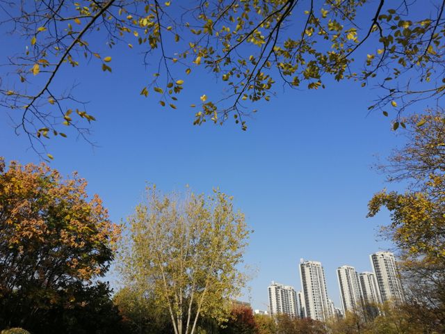 摄影：钵池山秋韵（谢东海）