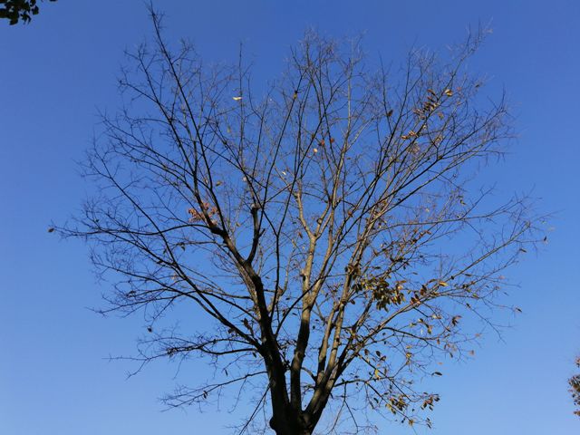 摄影：钵池山秋韵（谢东海）