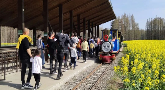 淮安全域旅游直通车惠民活动公告