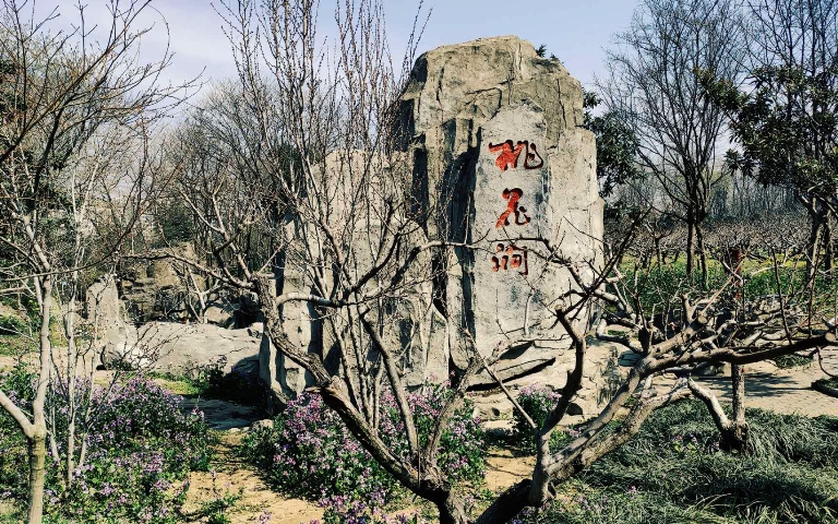 摄影：桃花坞（周志龙）