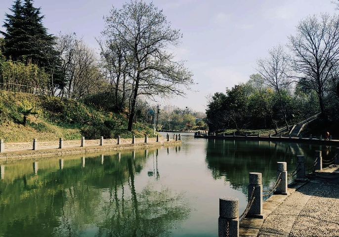 摄影：桃花坞（周志龙）