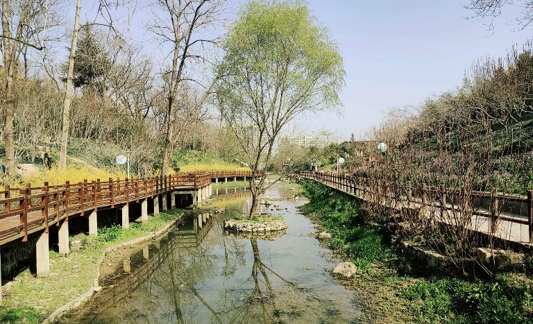 摄影：桃花坞（周志龙）