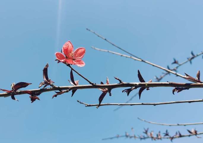 摄影：桃花坞（周志龙）